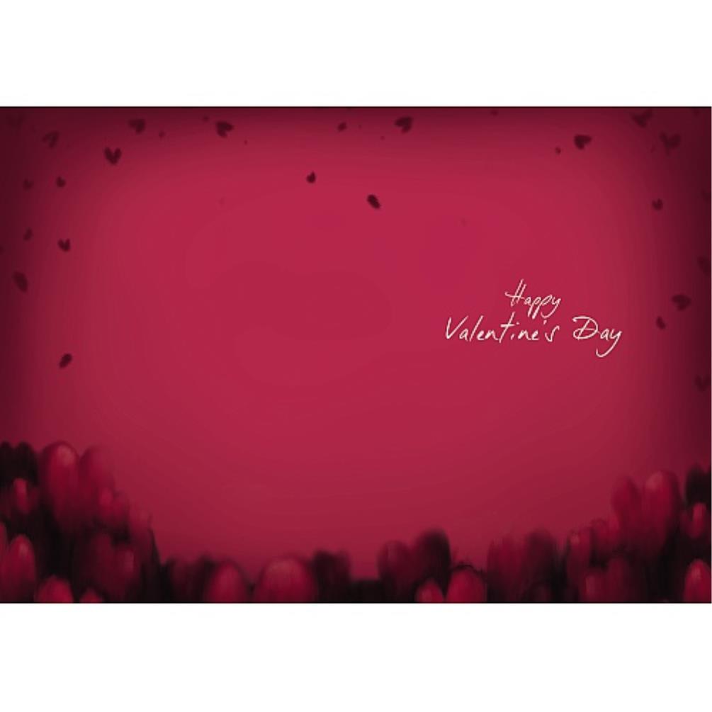 My One and Only Me to You Bear Valentine's Day Card Extra Image 1